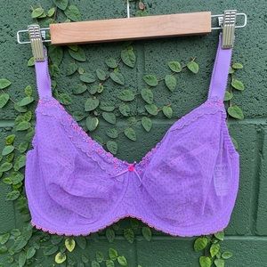 Freya Daisy Lace Purple Bra Size 32I